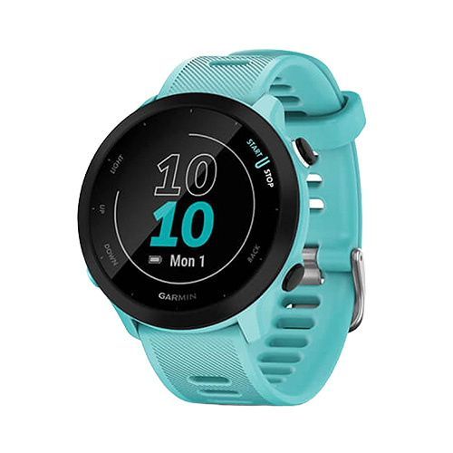 garmin_55_aqua_rd01